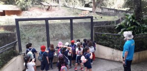 PHOTO-2019-05-22-19-37-40